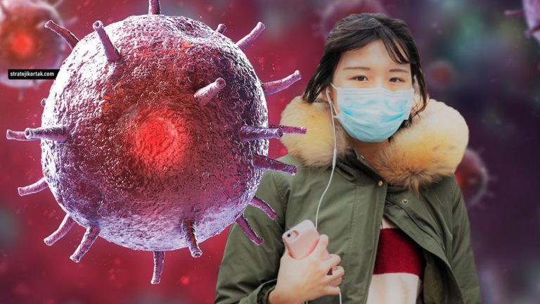 Koronavirüsü: Salgının Ortaya Çıkışı, Yayılması ve Etkileri