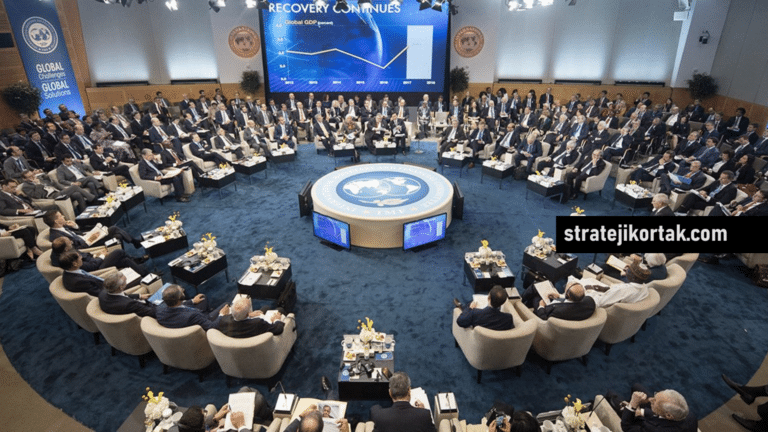 IMF: Uluslararası Para Fonu Kuruluşu, Faaliyetleri