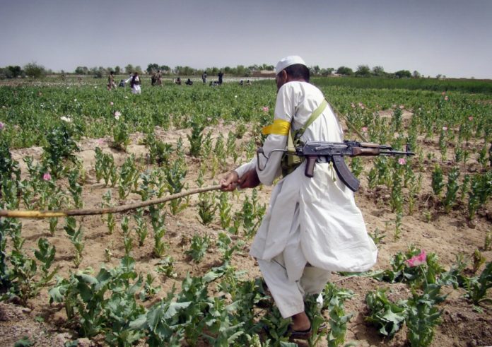 Narcos Afganistan, Afganistan'da Uyuşturucu Problemi. Fotoğraf: MintPress News