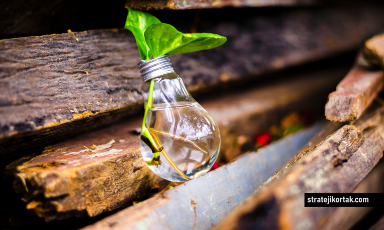 Yenilenemez ve Yenilenebilir Enerji Çıkmazı: Tamam Mı Devam Mı ?