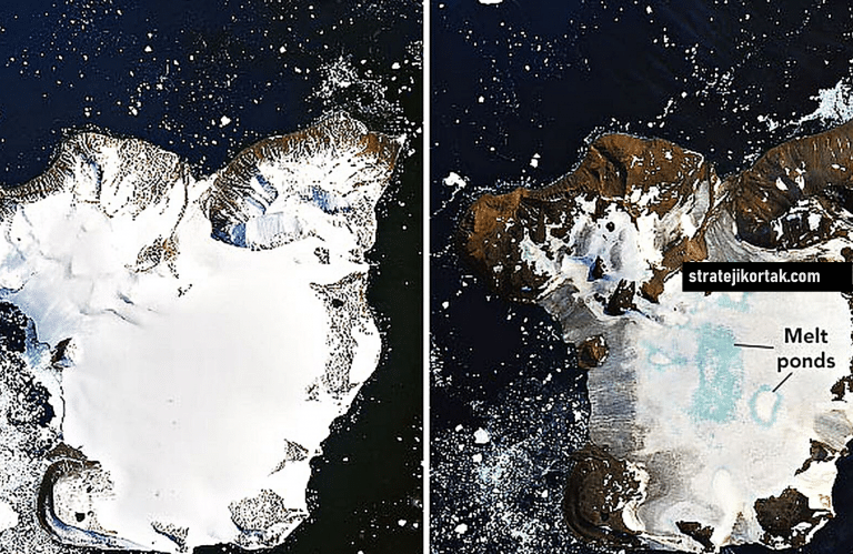 Küresel Tehditlerin Ortak Nedeni ve Sonucu; Küresel Isınma ve İklim Değişikliği