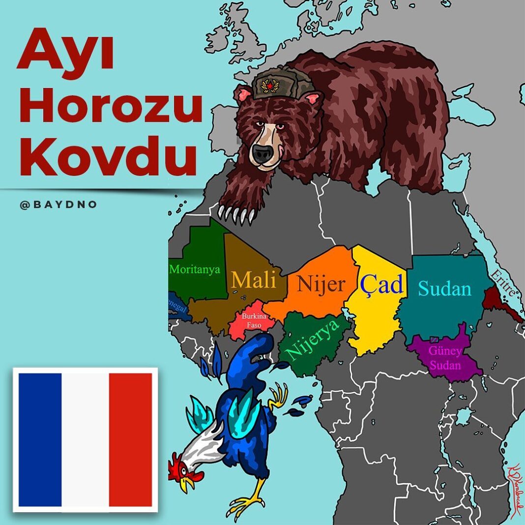 Nijer’de Son Durum: “Ayı, Afrika’dan Horozu Kovdu”
