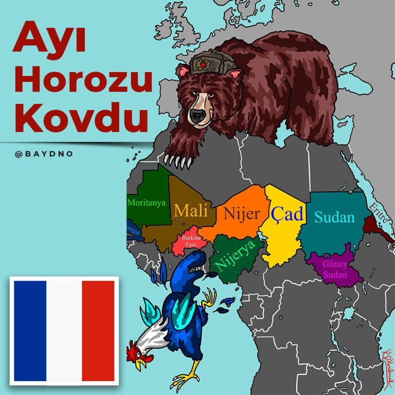 Nijer’de Son Durum: “Ayı, Afrika’dan Horozu Kovdu”