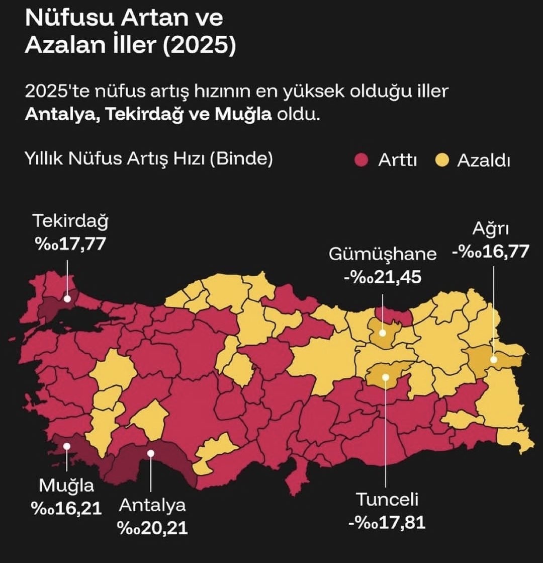 Türkiye’de Nüfusu En Fazla Artan ve Azalan Şehirler (2025)